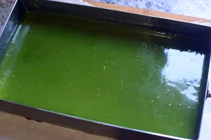 抹茶歌劇院