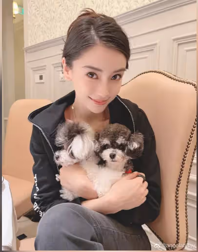要求真面目…中國娛樂圈再起風暴