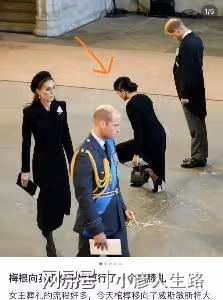 梅根在女王葬禮悼念儀式上輕蔑一笑，惹怒英國網友，她已經盡力了