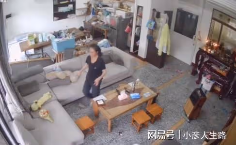 周末5個瓜,成龍私生子、汪涵又被罵,楊冪也陷入風波