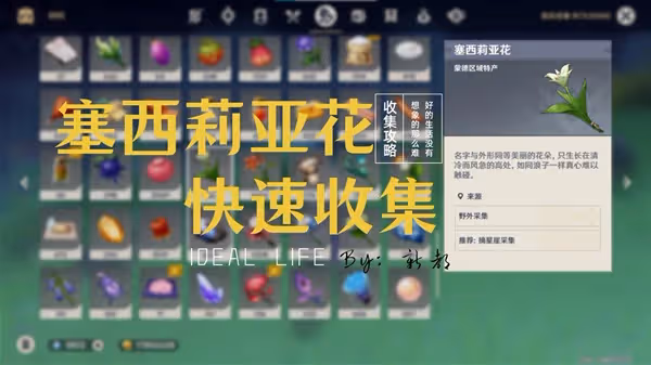 《原神》塞西莉亞花採集路線推薦