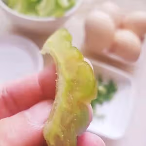 粵式快手小炒-涼瓜炒滑蛋