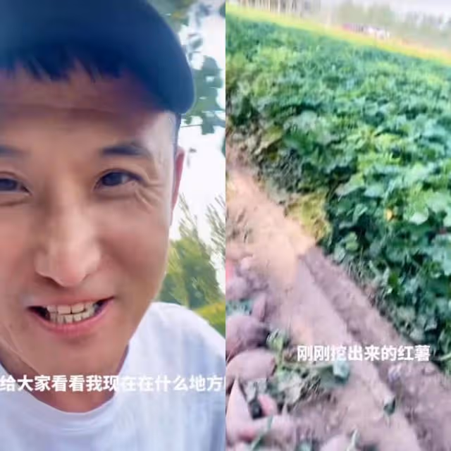 知名演員現身農村烤紅薯,壘石塊生火方式原始,笑容滿面一臉滄桑