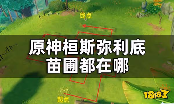 原神桓斯彌利底位置 桓斯彌利底苗圃都在哪