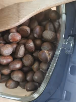 空氣炸鍋烤栗子（無需開口  輕鬆做出栗子店同款）