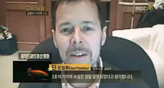 盤點那些在韓國才有的迷信說法