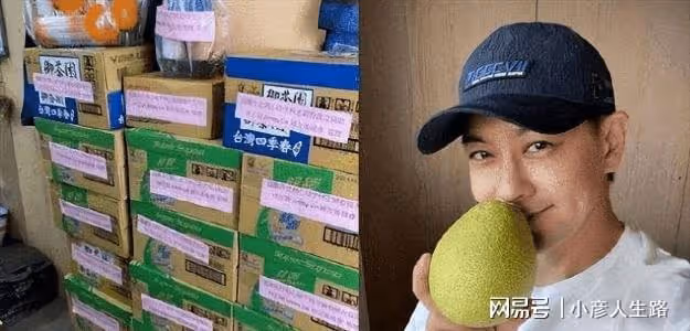 陳若儀曬全家人玩水照，林志穎露背影顯白胖，恢復速度快