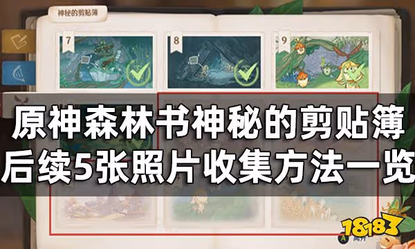 原神森林書神秘的剪貼簿後續5張照片收集方法一覽 神秘的剪貼簿11至15號獲取攻