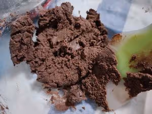 私房🔥爆款👉🏽多種口味🌸切片曲奇餅乾🍪