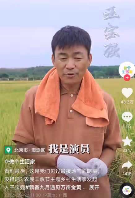 王寶強到農村割稻穀,動作嫻熟自稱地道農民,女友蹲地幫忙不嫌髒