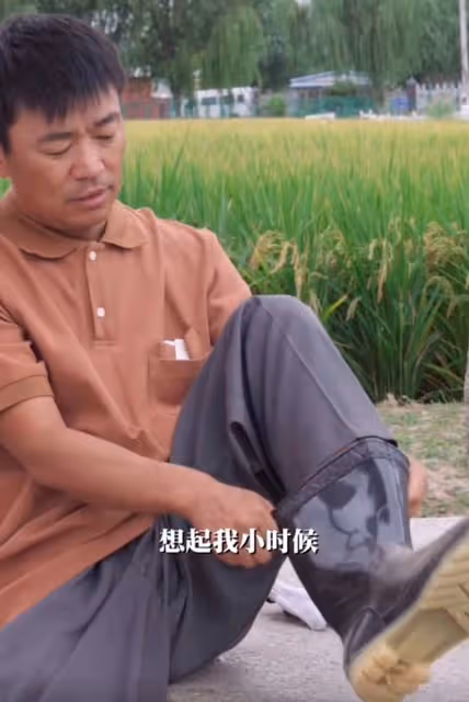 王寶強到農村割稻穀,動作嫻熟自稱地道農民,女友蹲地幫忙不嫌髒