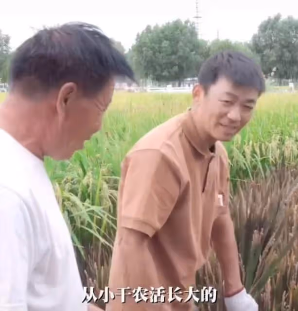 王寶強到農村割稻穀,動作嫻熟自稱地道農民,女友蹲地幫忙不嫌髒