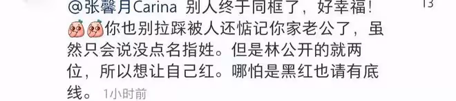 林峰前任罕曬富豪男友!遊艇上同外國美女熱舞,泳池跳水秀好身材