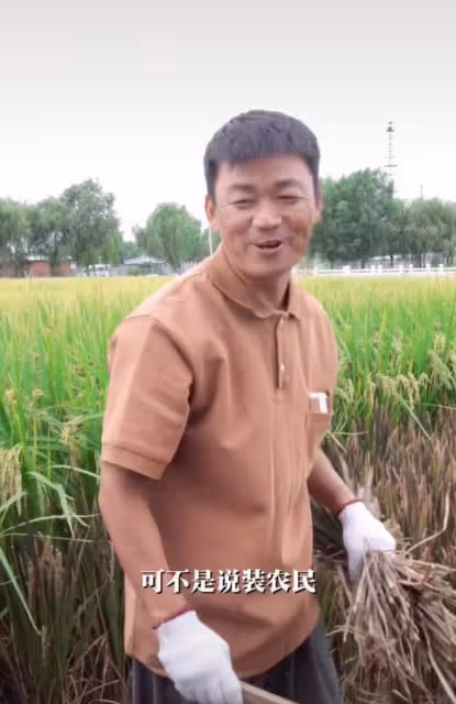 40歲王寶強下地干農活,皮膚黝黑手法嫻熟,戴手套割稻穀慘遭調侃