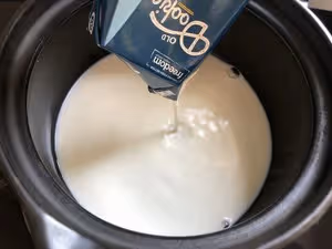 卡仕達醬巧克力麵包