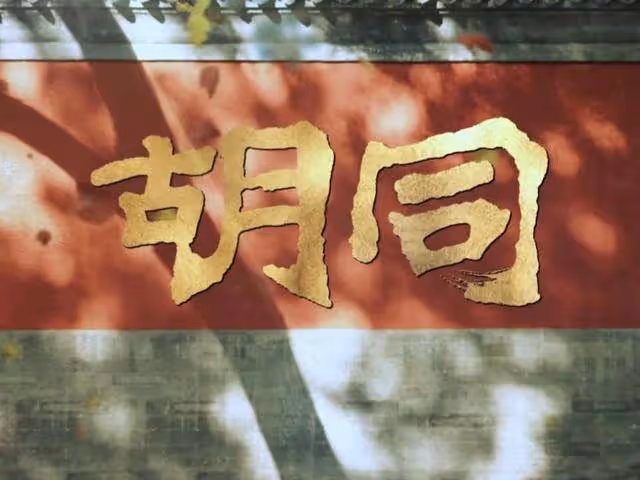 趙露思《胡同》定檔!3對情侶3種結局,林悅的結局最幸運