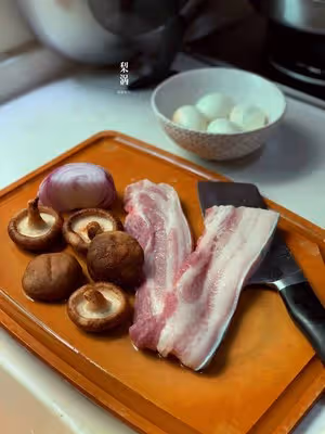滷肉飯～絕對銷魂