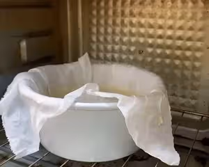 無奶油版酸奶巴斯克
