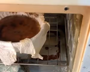 無奶油版酸奶巴斯克
