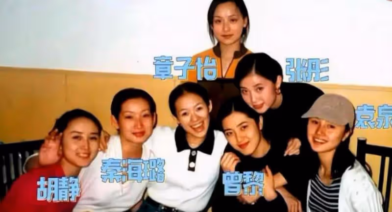 演員曾麗：骨子裡美得堪稱千古美人，為什麼46歲還未婚