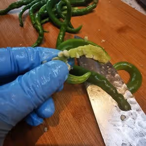 超下飯的湖南辣椒炒肉