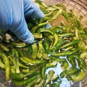 超下飯的湖南辣椒炒肉