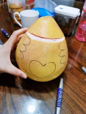 可愛的柚子小熊