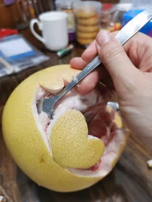 可愛的柚子小熊