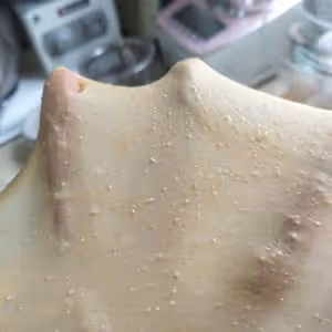 全麥黑糖紅棗核桃軟歐