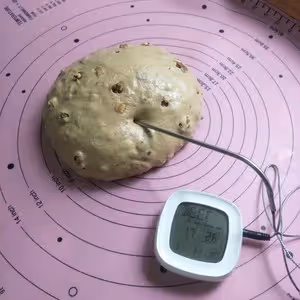 全麥黑糖紅棗核桃軟歐