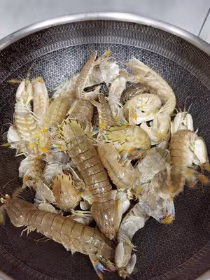 無水版的原汁原味皮皮蝦/蝦爬子