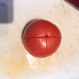 不單調的米飯