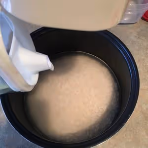 不單調的米飯