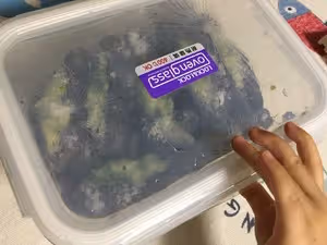 堪稱東北最牛掰的鹹菜-蒜茄子，你吃過麼「超級快手簡單」