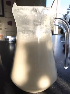 好喝不難的燕麥奶