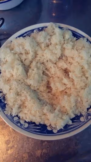 鹽城糯米肉圓