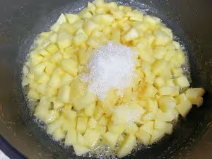 懶人版撻皮香酥蘋果派