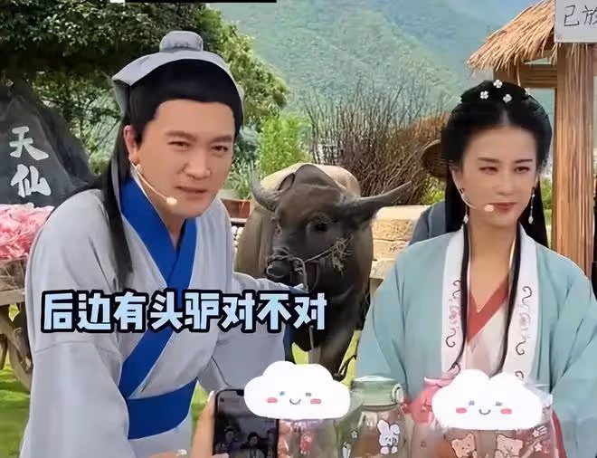 楊子和黃聖依疑似婚變，回看兩人的婚姻背後，全是謊言和欺騙