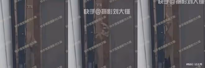 假戲真作？白鹿隔空對《蒼蘭訣》張凌赫比愛心 「過夜畫面」曝光
