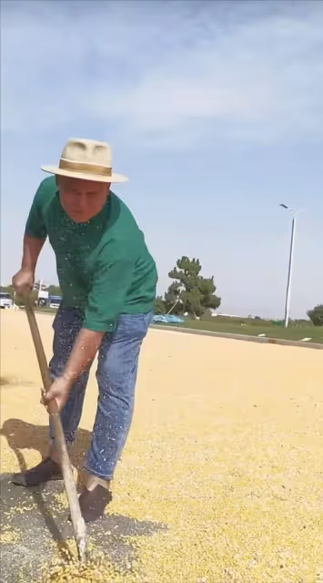 51歲老戲骨回鄉種地,用鐵鍬揚苞米忙不停,皮膚被曬得黢黑無人識