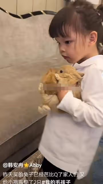 韓安冉帶女兒拍照,小豬妹顏值逆襲,一頭黃色卷髮被贊像洋娃娃