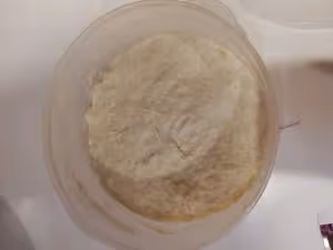 無油無糖全麥吐司