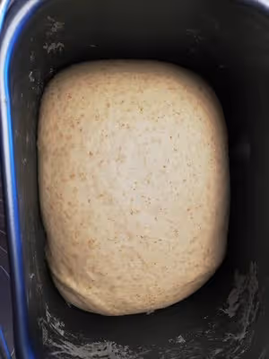 無油無糖全麥吐司