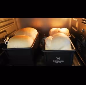 無油無糖全麥吐司
