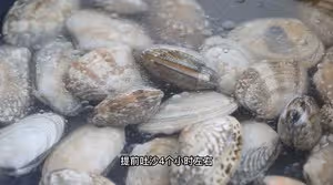蛤蜊釀肉
