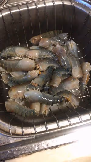 口味羅氏蝦