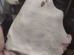 蛋糕夾心麵包