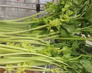 臘腸炒芹菜