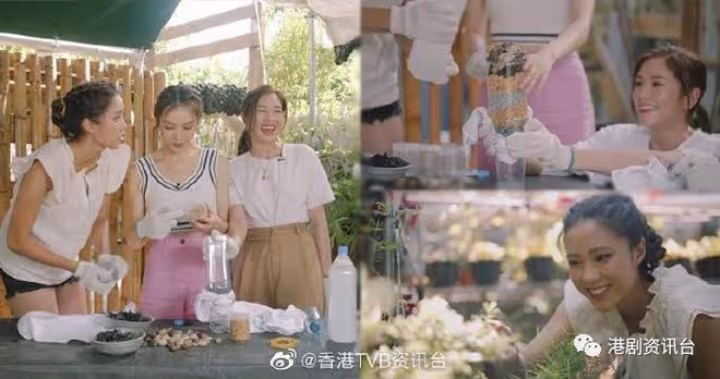 劉穎旋見「胡㻗」尷尬傻笑!李佳芯不再強求擴闊社交圈子