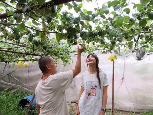 不敢忘養育恩!住寄養家庭半年「突然被生母帶走」 苦尋20年重逢「當場跪下叩謝」:謝謝你們給我的愛
